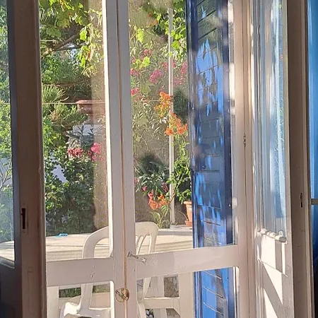 Irenulla * Posidhonía