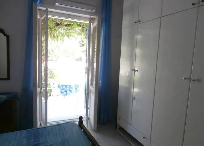 Irenulla * Posidhonía