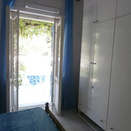 Irenulla * Posidhonía